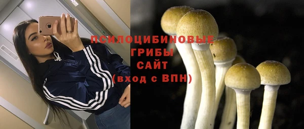 mix Алексеевка