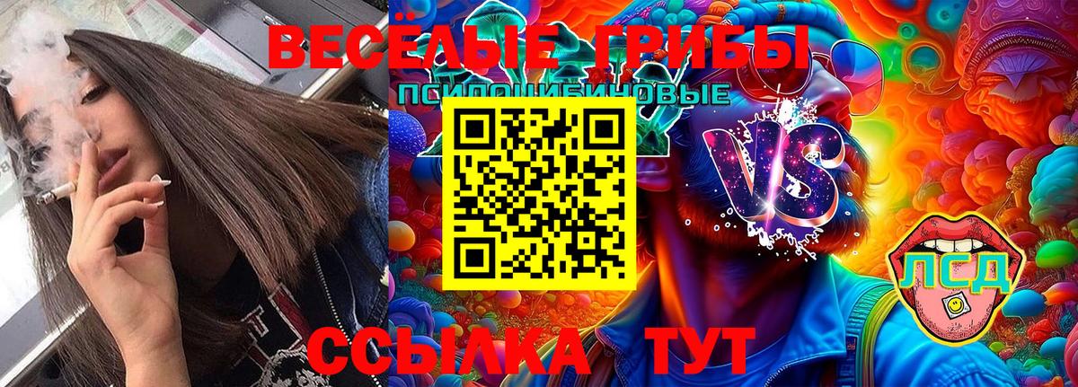 Ирбит  Галлюциногенные грибы Magic Shrooms  Вход с VPN 
