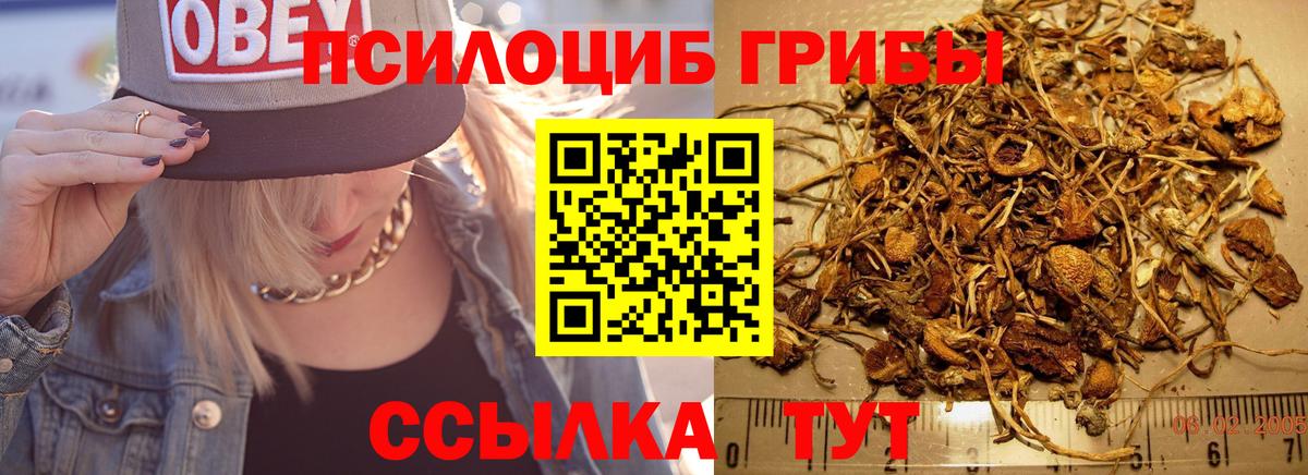 Галлюциногенные грибы ЛСД Ирбит